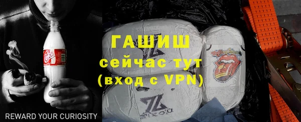 гидра Вяземский
