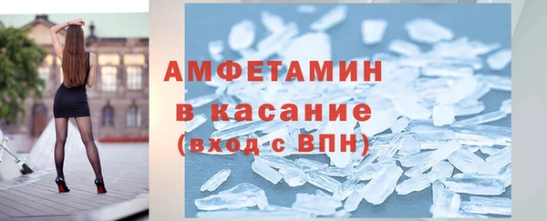 гидра Вяземский