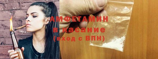 гидра Вяземский