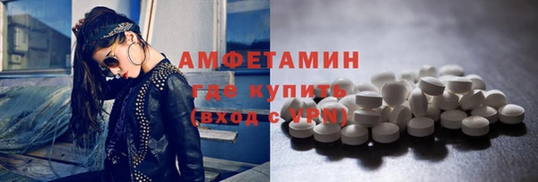 гидра Вяземский