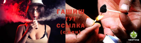 гидра Вяземский