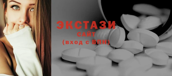гидра Вяземский