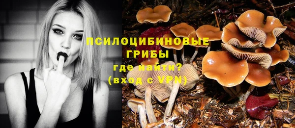 марки nbome Горнозаводск
