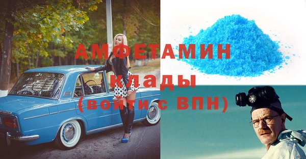 гидра Вяземский