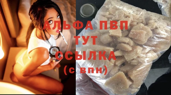 гидра Вяземский