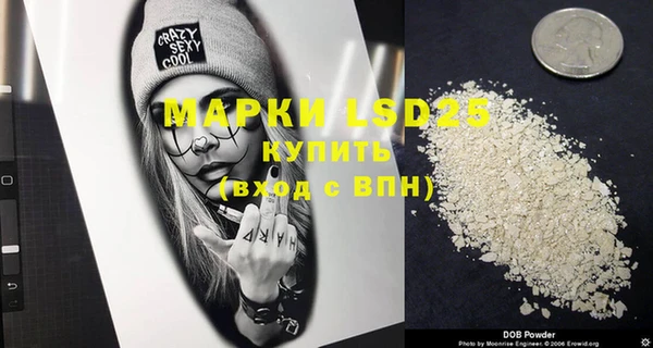 гидра Вяземский