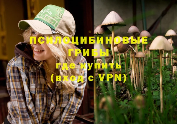 Альфа ПВП Вязьма