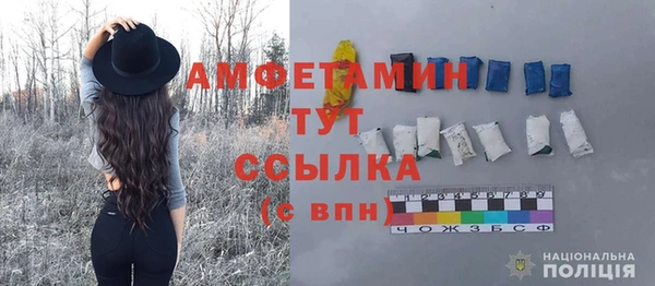 гидра Вяземский