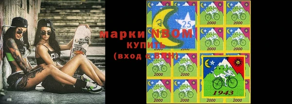 гидра Вяземский